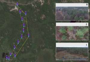 Georeferenced Land Survey